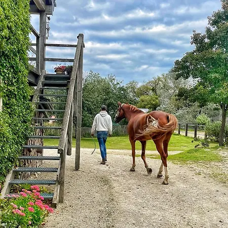 House Horse&groom Privatunterkunft