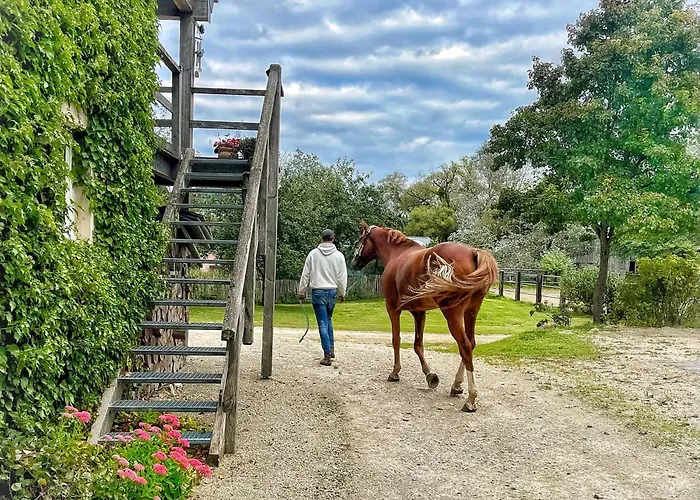 House Horse&groom Privatunterkunft